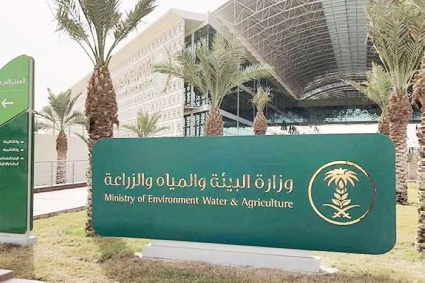 لأول مرة… استخدام تكنولوجيا إنترنت الأشياء في إدارة مزارع الماشية