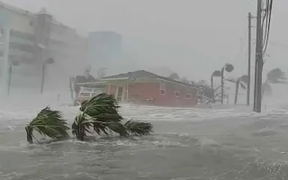 شركات الطيران تلغي رحلاتها في اليابان بسبب توقعات كاتبة مانغا