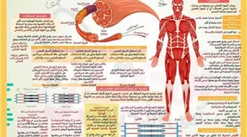 16 ورقة ستحدد امتحان الأحياء.. أقوى مراجعة نهائية للثانوية العامة 2025
