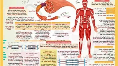 16 ورقة ستحدد امتحان الأحياء.. أقوى مراجعة نهائية للثانوية العامة 2025 16 ورقة ستحدد امتحان الأحياء.. أقوى مراجعة نهائية للثانوية العامة 2025