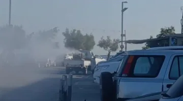 حملة لمكافحة الحشرات الصيفية بالتعاون بين بلدية صور والمديرية العامة للموارد المائية.