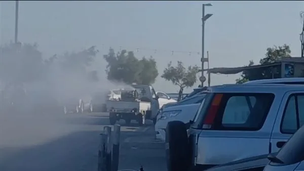 حملة لمكافحة الحشرات الصيفية بالتعاون بين بلدية صور والمديرية العامة للموارد المائية.