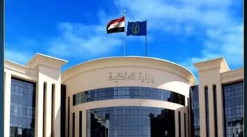 الداخلية تقبض على 5 مشتبه بهم بحوزتهم استروكس وسلاح ناري