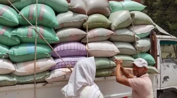 وزارة الزراعة: توسيع المساحة المزروعة إلى 9.7 مليون فدان وزيادة إنتاج القمح إلى 10 ملايين طن