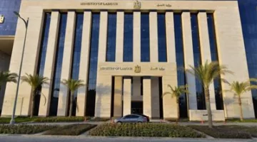 عدم الالتزام بالحد الأدنى لتوجيهات الوزير محمد جبران يؤدي إلى تحذير 7 منشآت خلال حملة تفتيشية في القاهرة