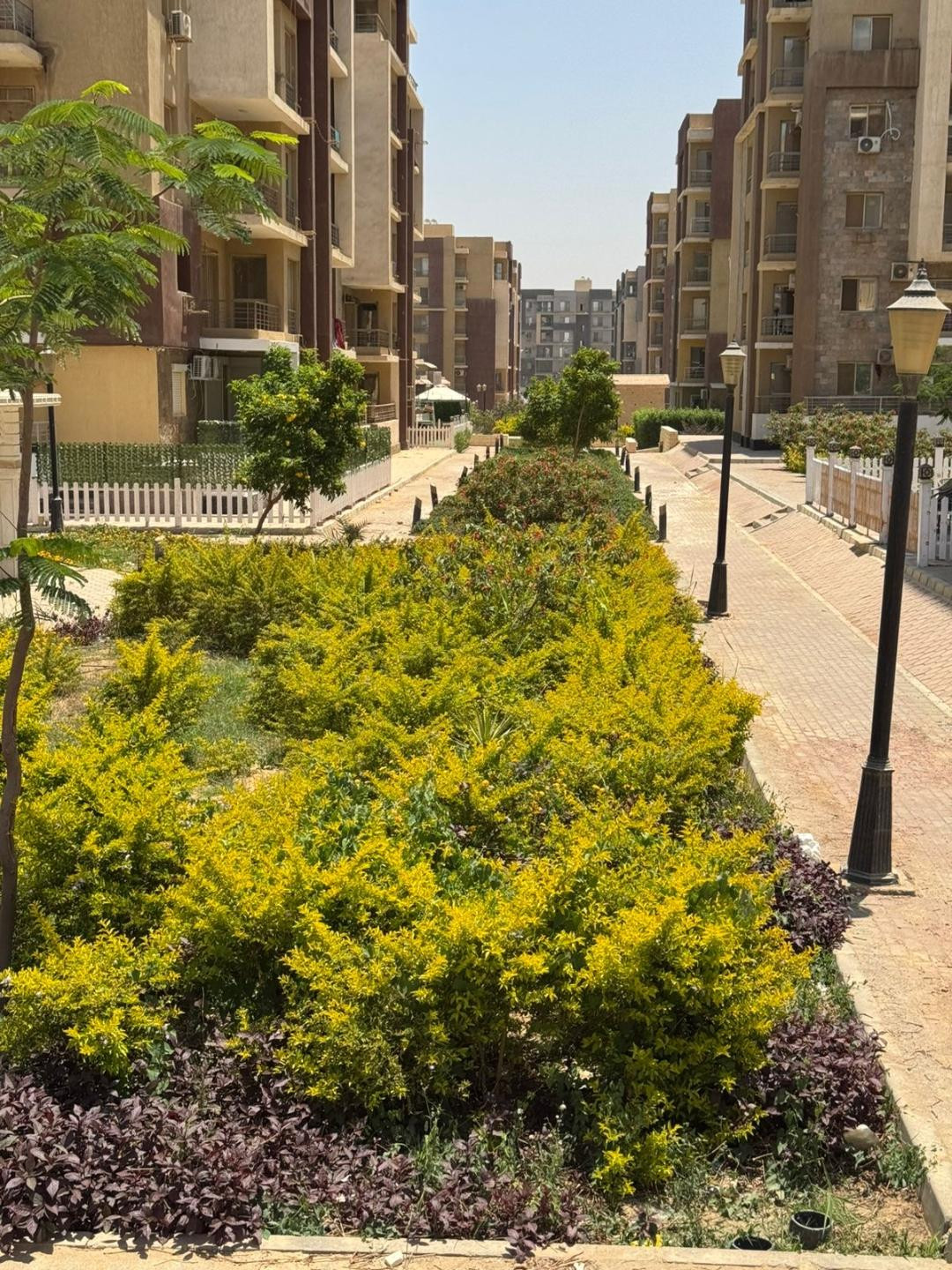 وزير الإسكان