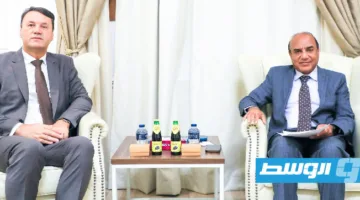 مباحثات لإنشاء رحلة طيران مباشرة بين ليبيا وبوسنة