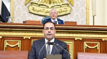رئيس لجنة الشباب بالبرلمان: تجربة تنفيذ قانون الرياضة أظهرت التحديات والسلبيات ونقص وسائل الرقابة