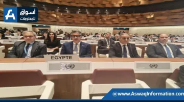 مشاركة مصرية بارزة في الدورة التاسعة لمؤتمر الأمم المتحدة المختص بالمنافسة وحماية المستهلك