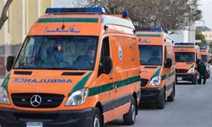 بعد توقف خدمة الخط الساخن 123 على مستوى البلاد.. إسعاف الفيوم يعلن عن أرقام بديلة لاستقبال البلاغات العاجلة بعد توقف خدمة الخط الساخن 123 على مستوى البلاد.. إسعاف الفيوم يعلن عن أرقام بديلة لاستقبال البلاغات العاجلة