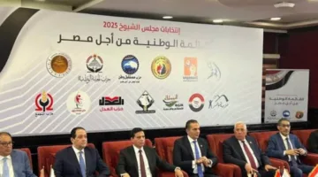 محضر الاجتماع التنسيقي الثاني للقائمة الوطنية لدعم مصر فيما يخص انتخابات الشيوخ