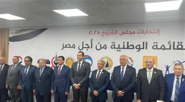 مصادر: الدكتور محمد شوقي العناني يعين مستشارًا قانونيًا للقائمة الوطنية في مجلس الشيوخ