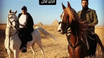 محمد سامي يؤيد أحمد السقا: أشهد بكرم أخلاقك ونبل طبعك.. وتحب الخير للجميع