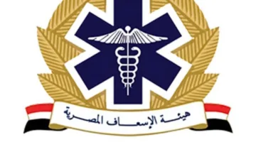 اكتشف الأرقام البديلة لخدمات الإسعاف لتلقي الرعاية الطبية بشكل سريع.