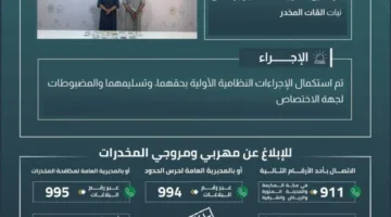 حرس حدود نجران يعتقل شخصين بتهمة تهريب 18 كيلوغرامًا من نبات القات