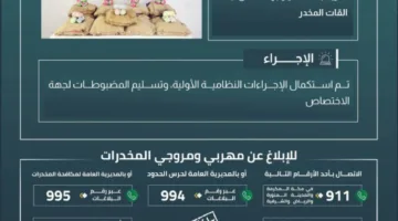 إحباط محاولة تهريب 195 كيلوجرامًا من مخدر القات في جازان
