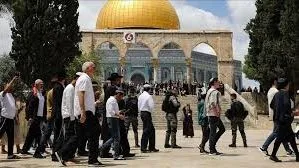انتهاك جديد لقدسية الأقصى: المستوطنون يدخلون الساحات تحت حماية القوات الاحتلال | تقرير