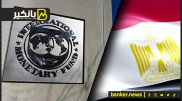 السر وراء التأييد: تفاصيل النزاعات بين مصر وصندوق النقد الدولي
