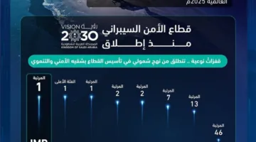 المملكة تتصدر عالم الأمن السيبراني.
