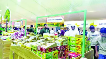افتتاح معرض همبا للمانجا الباكستانية يوم الخميس