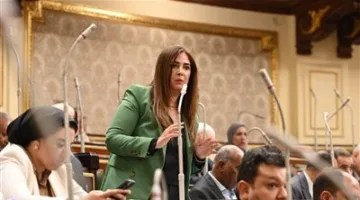 نائبة التنسيقية أميرة العادلي تطالب بإدخال مادة جديدة لتعريف “البكالوريا المصرية التكنولوجية”