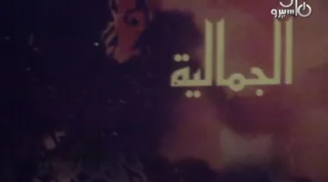 حي الجمالية: نقطة تجمع الآثار في موقع واحد