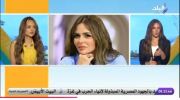 تفاصيل حادثة اتهام مها الصغير بسرقة لوحة لفنانة دانماركية