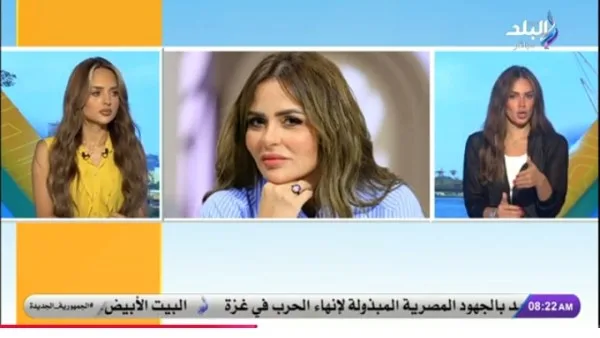 تفاصيل حادثة اتهام مها الصغير بسرقة لوحة لفنانة دانماركية تفاصيل حادثة اتهام مها الصغير بسرقة لوحة لفنانة دانماركية