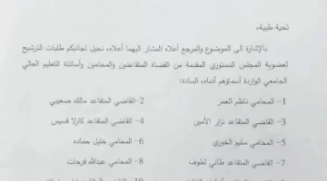 قائمة الأسماء: من هم المرشحون للانضمام إلى المجلس الدستوري؟