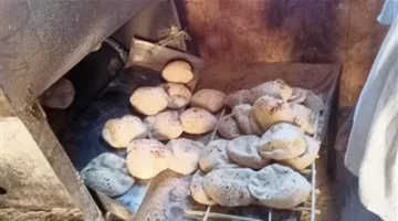 تنظيم إدارة نظام الخبز في الفيوم