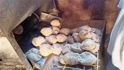 تنظيم إدارة نظام الخبز في الفيوم تنظيم إدارة نظام الخبز في الفيوم