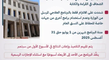 إرشادات حول البرنامج العلاجي لطلاب المرحلة الابتدائية الضعاف في المدارس (إنفوجراف)