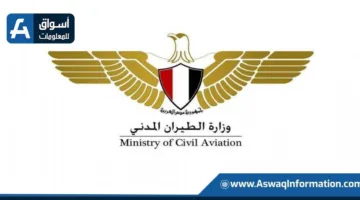 وزارة الطيران: استئناف حركة التشغيل بشكل طبيعي في مطار القاهرة الدولي
