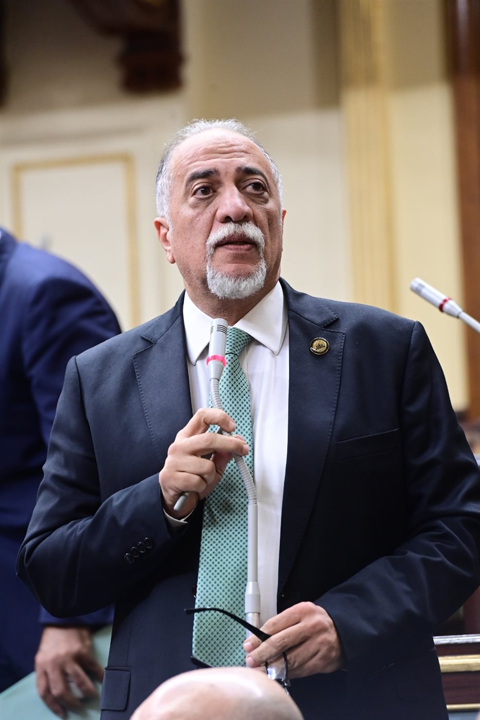النائب عبد الهادي القصبي
