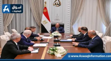 الرئيس السيسي يتابع مستجدات بناء محطة الطاقة النووية في الضبعة