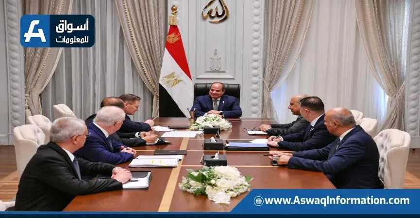 الرئيس السيسي يتابع مستجدات بناء محطة الطاقة النووية في الضبعة