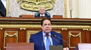 النائب محمد أبو العينين: القضية الفلسطينية هي الأهم بالنسبة لمصر