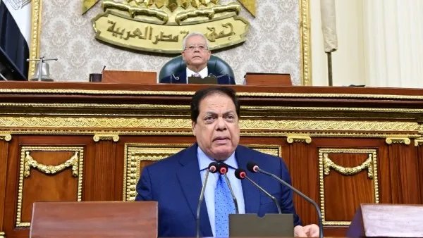 النائب محمد أبو العينين: القضية الفلسطينية هي الأهم بالنسبة لمصر
