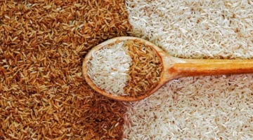 كم سعر الطن؟.. أسعار الأرز الشعير اليوم الثلاثاء 8 يوليو 2025