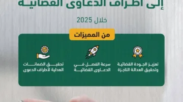 الإشعار الرقمي: 11.8 مليون رسالة مرسلة للأطراف المعنية في الدعاوى القضائية بحلول 2025