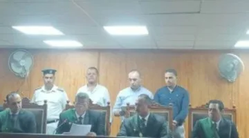 حبس السائق 15 سنة بعد تسببه في وفاة 19 شخصًا على الطريق الإقليمي بالمنوفية