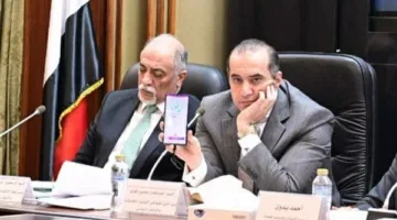 وزير يجيب عمليا على توقف خدمة إنستاباي: ‘أعطيت 100 جنيه لابني’