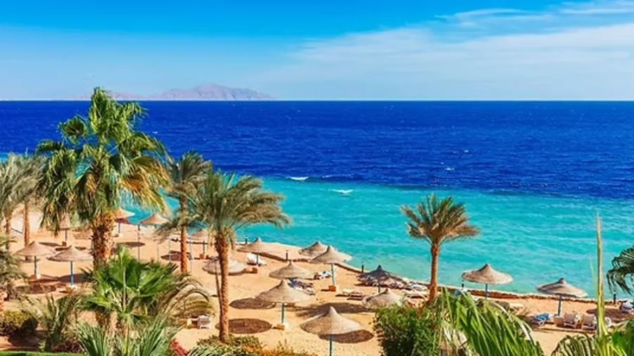عاجل.. “جرين شرم” يستمر في تحويل شرم الشيخ إلى أول مدينة سياحية صديقة للبيئة في مصر