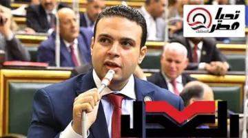 خاص لـ تحيا مصر: حزب العدل يحقق ٤ مقاعد في القائمة الوطنية لمجلس الشيوخ