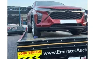 شرطة دبي ت apprehends الشخص الذي ظهر في فيديو القيادة المتهورة على جانب الطريق.