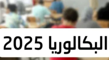 قواعد النظام الجديد للبكالوريا في الثانوية العامة: امتحانان ودرجة نهائية مرنة.