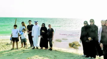 حدث لإطلاق صغار السلاحف على شاطئ فويرط