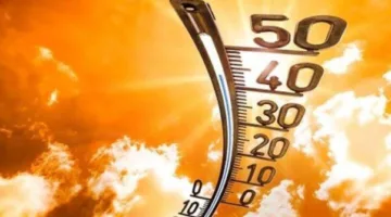 زيادة مستويات الرطوبة.. الأرصاد تحذر من التقلبات الجوية اليوم الأربعاء 9 يوليو 2025