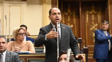 نائب التنسيقية عمرو درويش: حريق سنترال رمسيس يعتبر كارثة أدت إلى توقف البلاد.