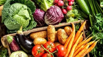 أسعار الفواكه والخضروات في الغربية اليوم، الأربعاء 9 يوليو 2025